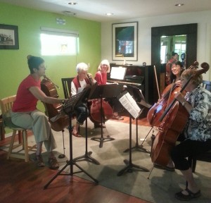 Learn cello with Deborah Ann Johnston's ensemble classes